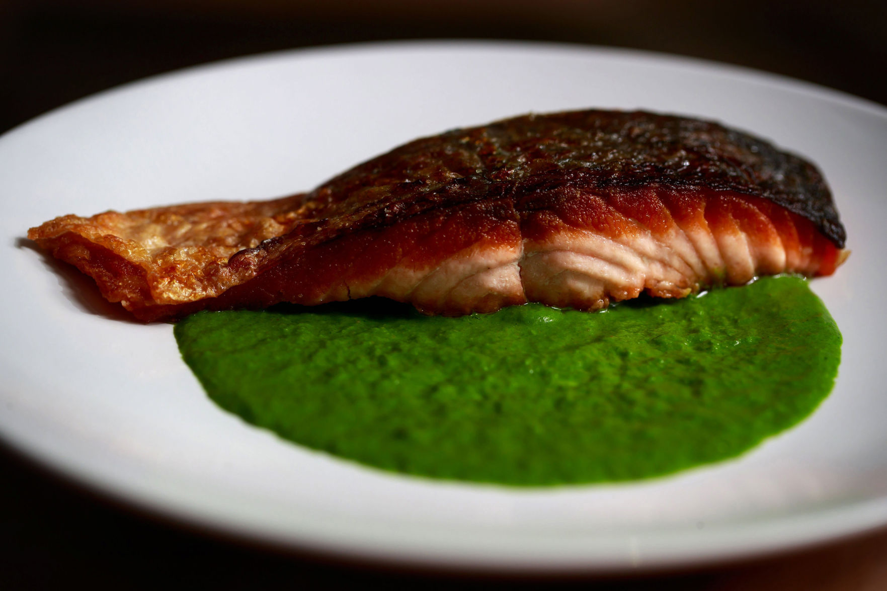 Salmon